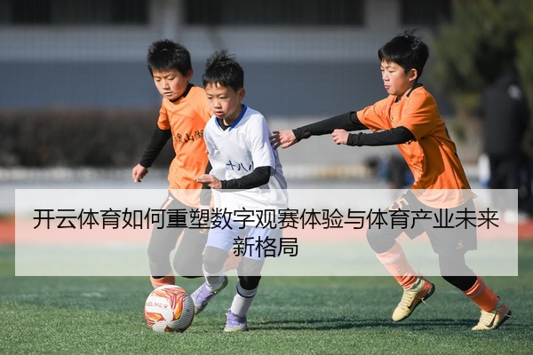 开云体育如何重塑数字观赛体验与体育产业未来新格局